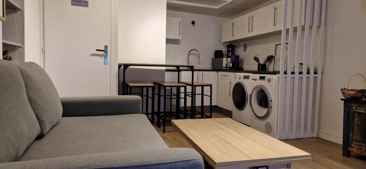 Appart Jardin en Ville Cœur de Nantes Extérieur photo